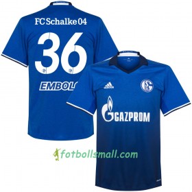 FC Schalke 04 Fotbollströjor Embolo 36 Hemma tröja 2017/18 Kortärmad