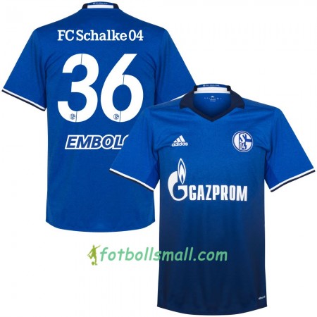 FC Schalke 04 Fotbollströjor Embolo 36 Hemma tröja 2017/18 Kortärmad