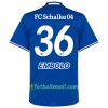 FC Schalke 04 Fotbollströjor Embolo 36 Hemma tröja 2017/18 Kortärmad