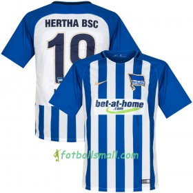 Hertha BSC Fotbollströjor Ibisevic 19 Hemma tröja 2017/18 Kortärmad
