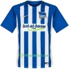 Hertha BSC Fotbollströjor Ibisevic 19 Hemma tröja 2017/18 Kortärmad