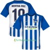 Hertha BSC Fotbollströjor Ibisevic 19 Hemma tröja 2017/18 Kortärmad