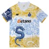 FC Porto Dragon Special Fotbollströjor 2025-26 Kortärmad