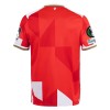 FSV Mainz 05 Special Fotbollströjor 2025-26 Kortärmad