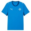 Island Fotbollströjor Hemma tröja World Cup 2026 Kortärmad