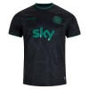 Irland Special Edition Fotbollströjor 2025-26 Kortärmad
