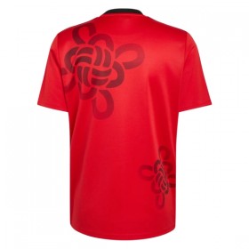 Manchester United Cultural Story Special Edition Fotbollströjor 2025-26 Kortärmad