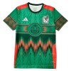 Mexiko World Cup 2026 Tränings tröjor Kortärmad