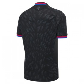 Crystal Palace Fotbollströjor Borta tröja 2026-27 Kortärmad