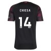 Liverpool Chiesa 14 Fotbollströjor Barn Tredje tröja 2026-27 Kortärmad